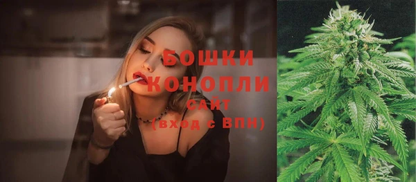 прущая мука Богородицк