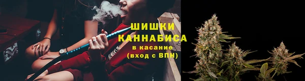 прущая мука Богородицк