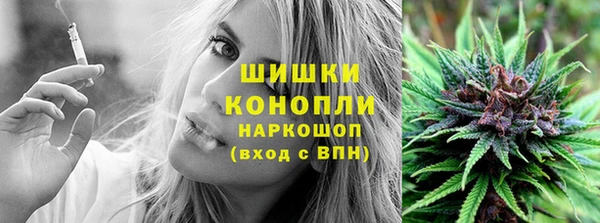 прущая мука Богородицк
